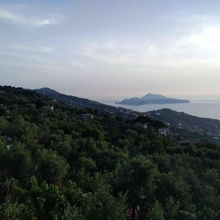 La Vista Sul Golfo Apartment Massa Lubrense Exterior photo