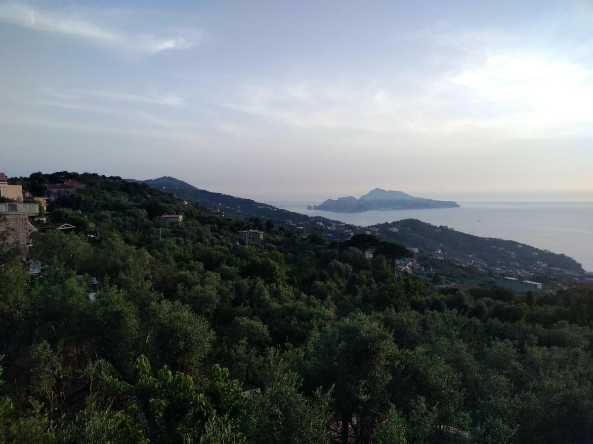 La Vista Sul Golfo Apartment Massa Lubrense Exterior photo